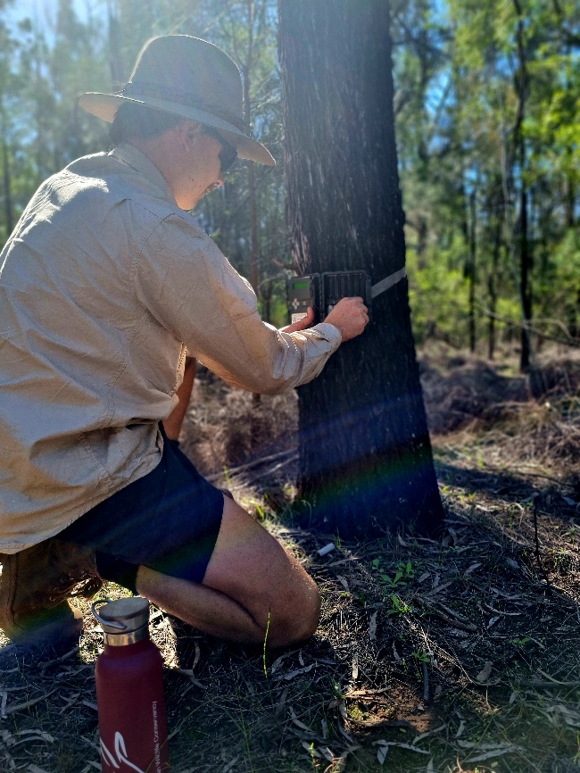 A person in a hat measuring a treeAI-generated content may be incorrect.