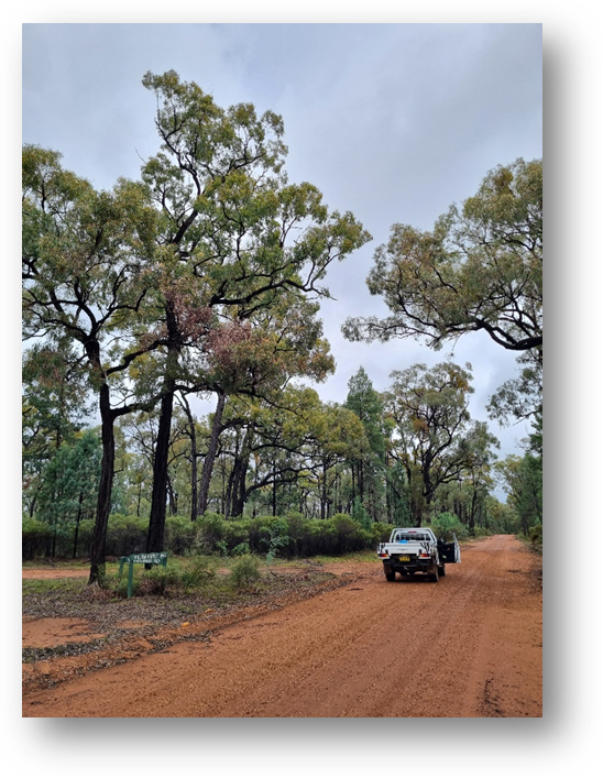 A truck driving on a dirt roadAI-generated content may be incorrect.